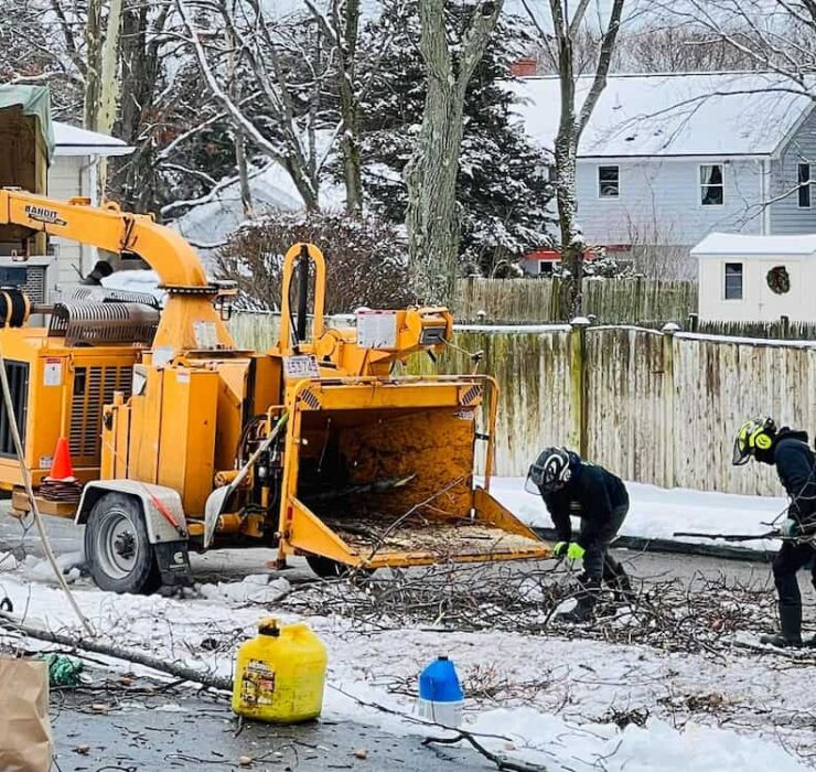 Emergency Storm Clean-Ups