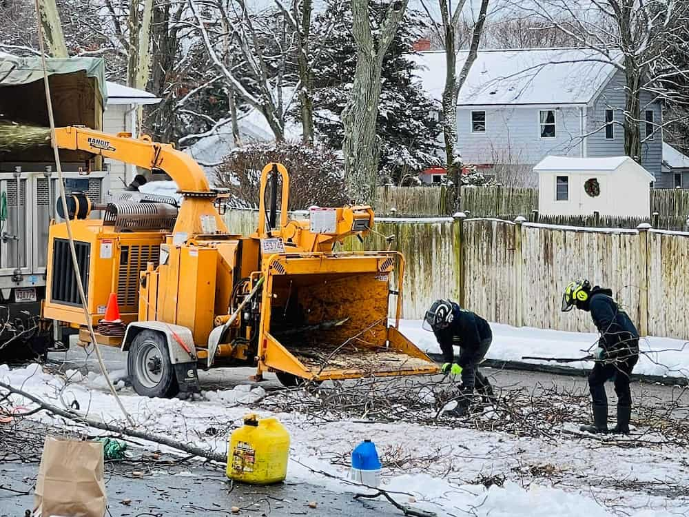 Emergency Storm Clean-Ups