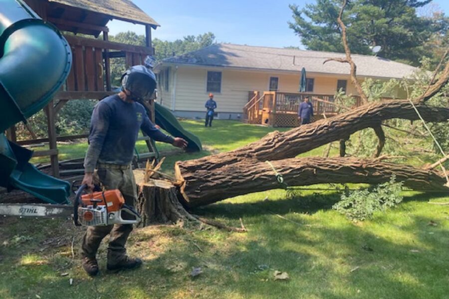 Storm-Damaged Trees