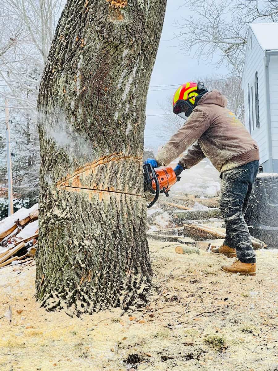 Emergency Tree Services NEAR ME