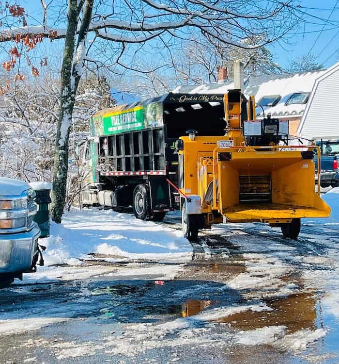 Snow Removal