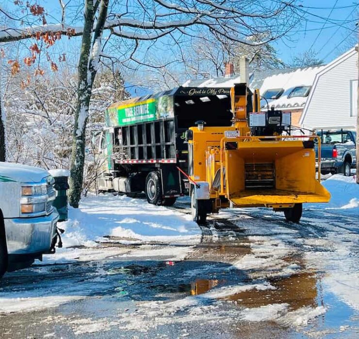 Snow Removal