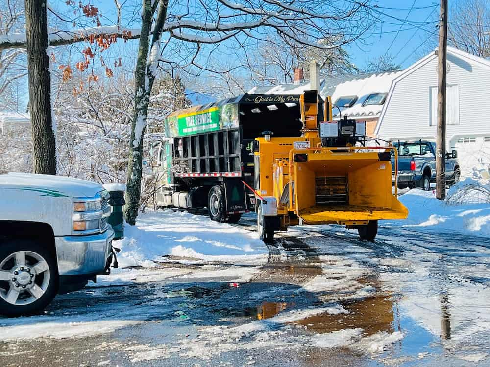 Snow Removal