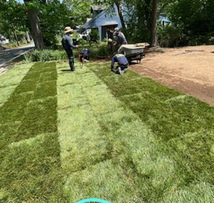 Sod Installation